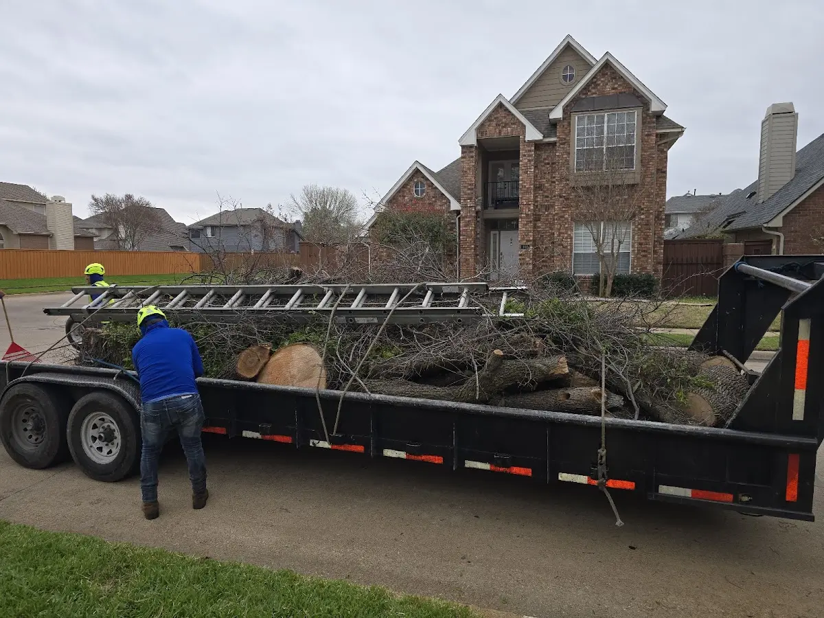 Expert Tree Pest Control with proper safety equipment in White Post